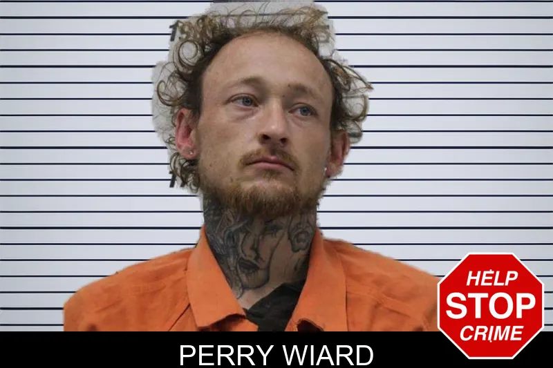 Perry Wiard mugshot