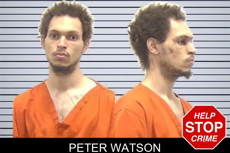 Peter Watson mugshot