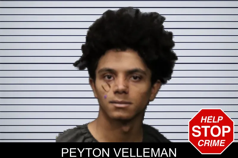 Peyton Velleman mugshot