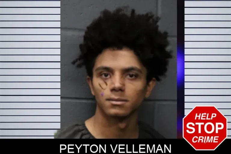 Peyton Velleman mugshot – Forsyth County , Georgia Peyton Velleman