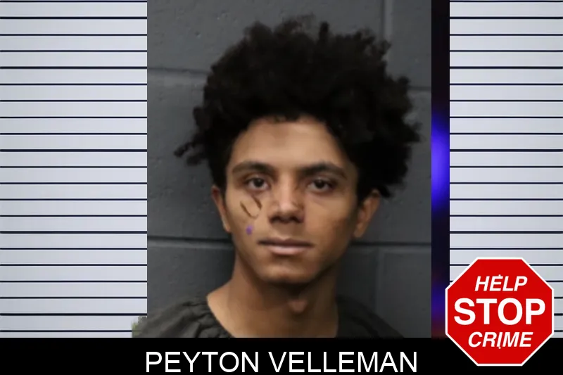 Peyton Velleman mugshot
