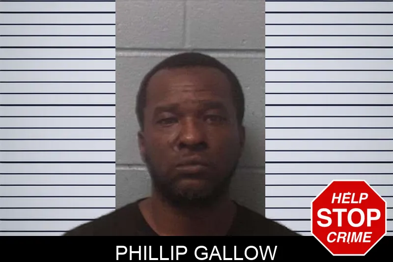 Phillip Gallow mugshot – Franklin County , Georgia Phillip Gallow mugshot