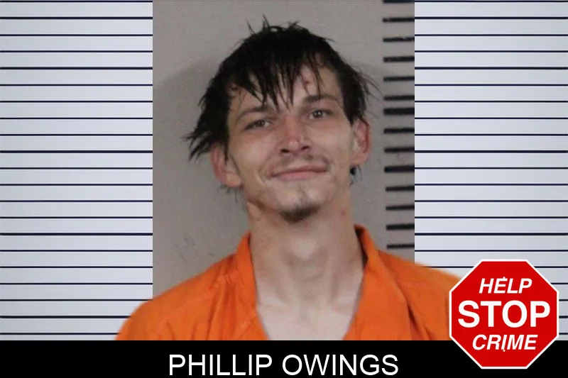 Phillip Owings mugshot – Lamar County , Georgia Phillip Owings mugshot