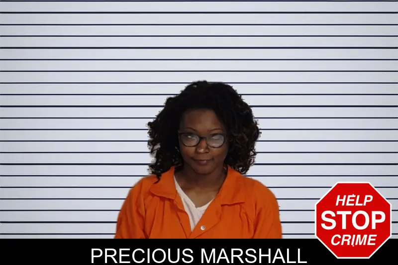 Precious Marshall mugshot – Rockdale County , Georgia Precious Marshall mugshot