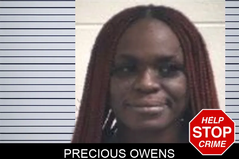 Precious Owens mugshot – Henry County , Georgia Precious Owens mugshot