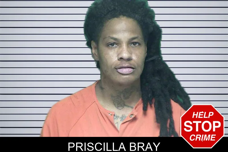 Priscilla Bray mugshot