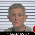 Priscilla Carey mugshot – Berrien County , Georgia Priscilla Carey mugshot