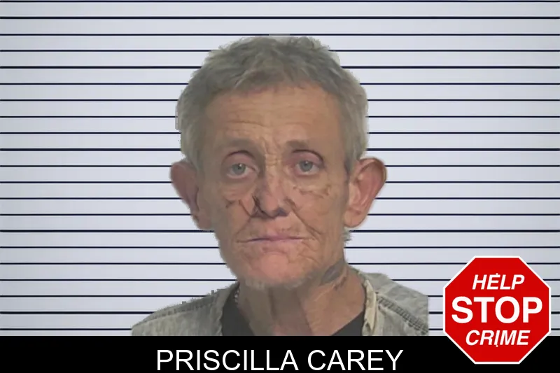Priscilla Carey mugshot