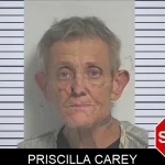 Priscilla Carey mugshot