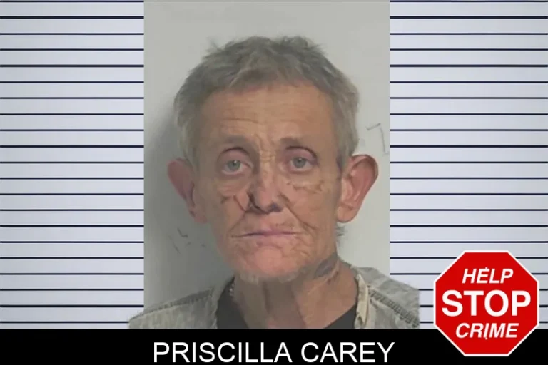Priscilla Carey mugshot – Berrien County , Georgia Priscilla Carey
