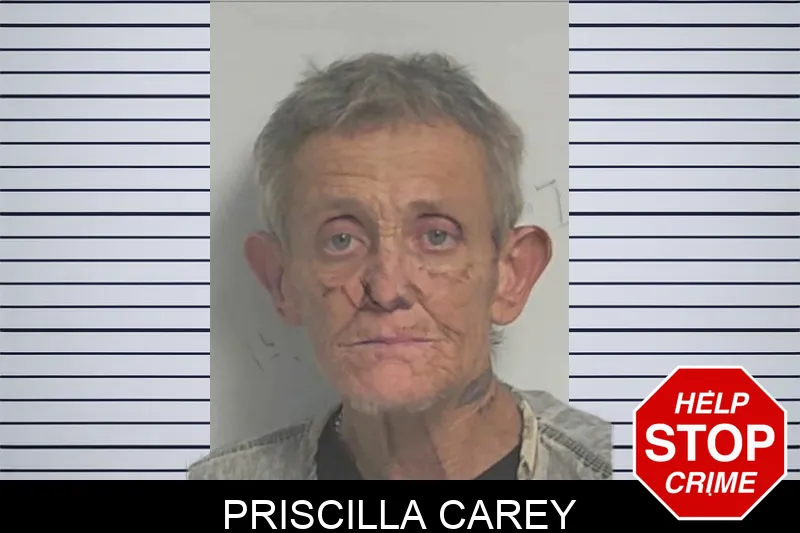 Priscilla Carey mugshot