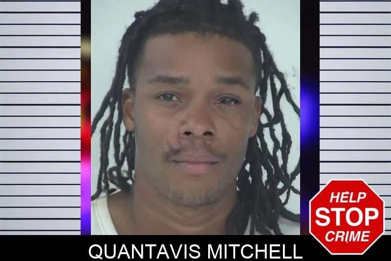 Quantavis Mitchell mugshot – Fayette County , Georgia Quantavis Mitchell mugshot