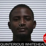 Quinterious Whitehead mugshot