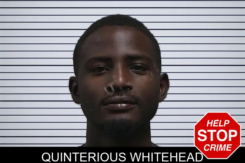 Quinterious Whitehead mugshot