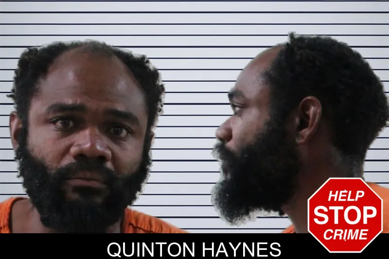 Quinton Haynes mugshot