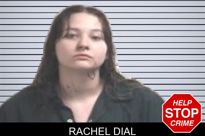 Rachel Dial mugshot – Henry County , Georgia Rachel Dial mugshot