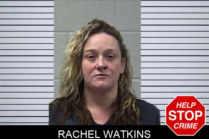 Rachel Watkins mugshot – Gilmer County , Georgia Rachel Watkins mugshot