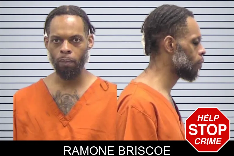 Ramone Briscoe mugshot