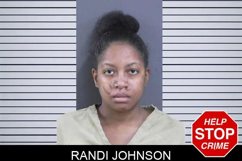Randi Johnson mugshot – Gordon County , Georgia Randi Johnson mugshot