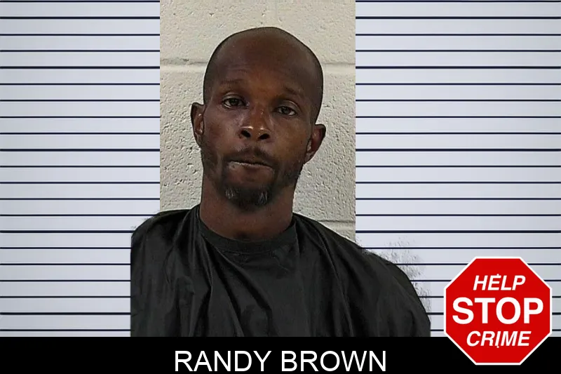 Randy Brown mugshot