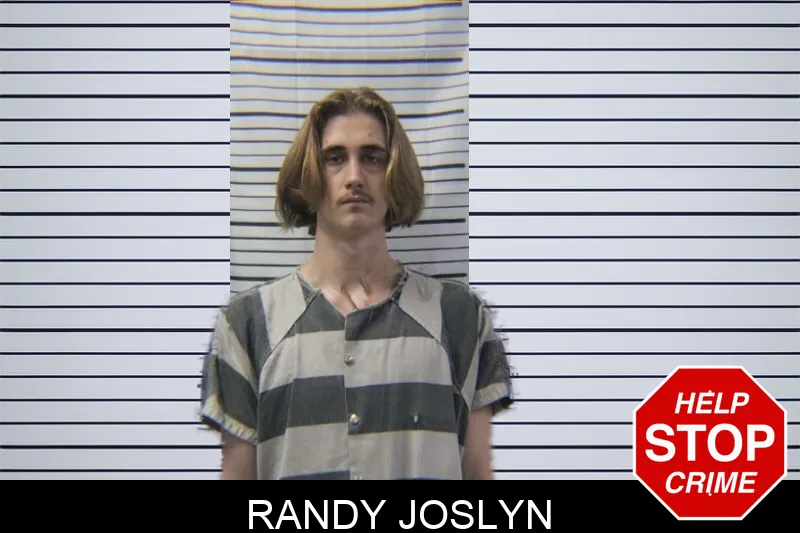 Randy Joslyn mugshot