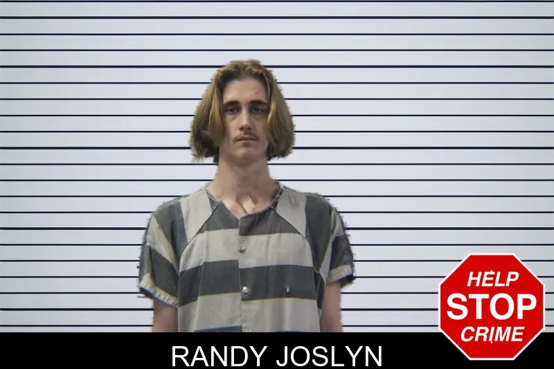 Randy Joslyn mugshot – Stephens County , Georgia Randy Joslyn mugshot