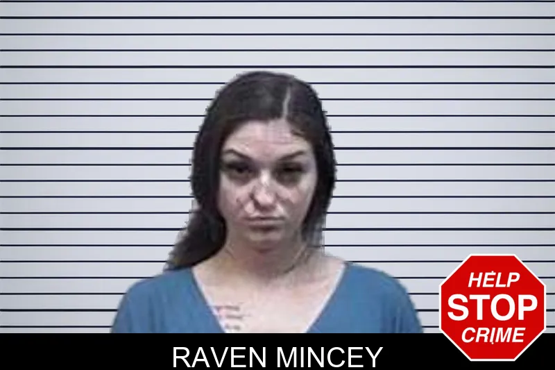 Raven Mincey mugshot – Tattnall County , Georgia Raven Mincey mugshot