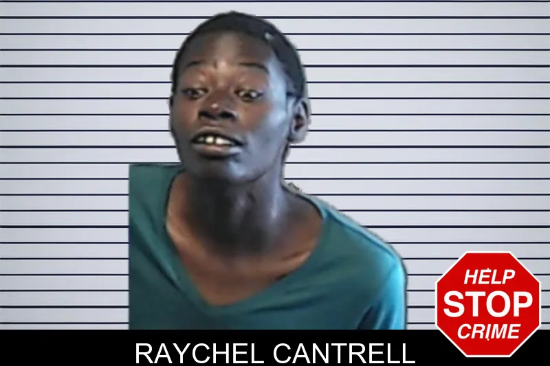 Raychel Cantrell mugshot – DeKalb County , Georgia Raychel Cantrell mugshot