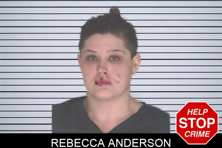 Rebecca Anderson mugshot – Douglas County , Georgia Rebecca Anderson