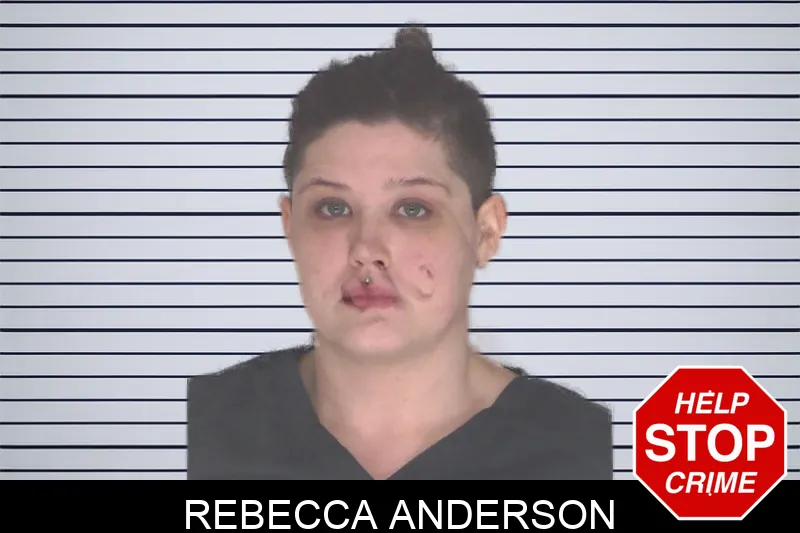Rebecca Anderson mugshot
