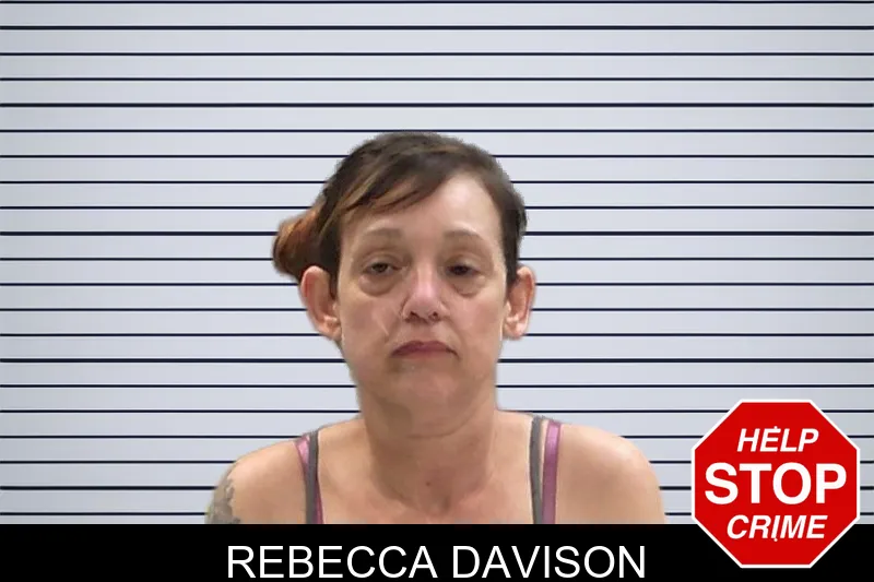 Rebecca Davison mugshot – Baldwin County , Georgia Rebecca Davison mugshot