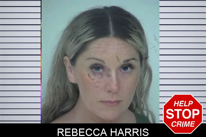 Rebecca Harris mugshot – Fayette County , Georgia Rebecca Harris mugshot