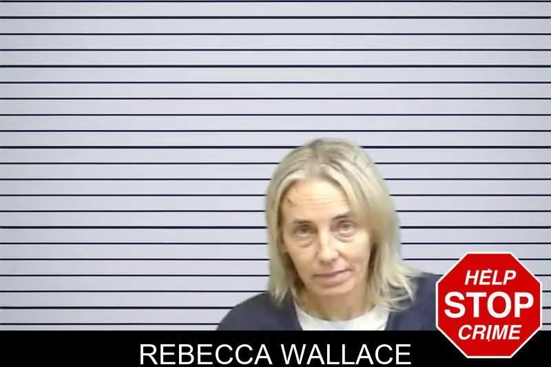 Rebecca Wallace mugshot – Fulton County , Georgia Rebecca Wallace mugshot
