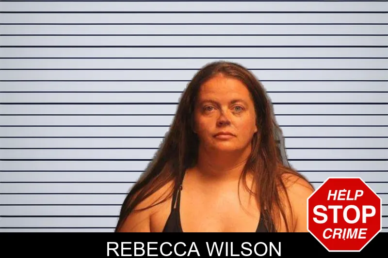 Rebecca Wilson mugshot – Monroe County , Georgia Rebecca Wilson mugshot