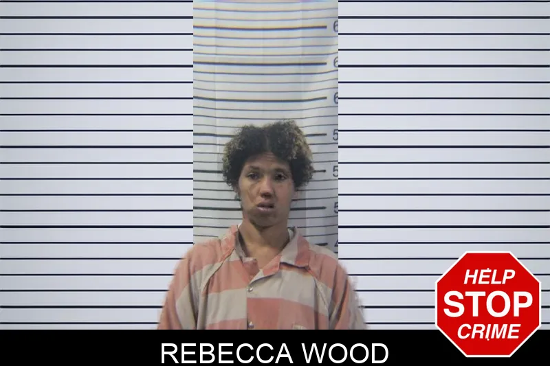 Rebecca Wood mugshot – Stephens County , Georgia Rebecca Wood mugshot