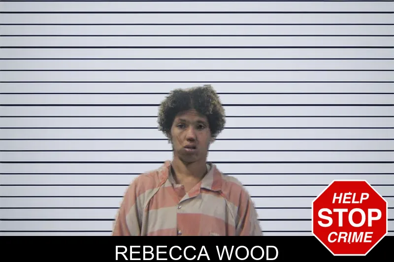Rebecca Wood mugshot