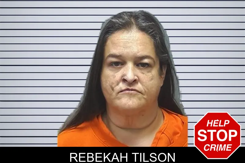 Rebekah Tilson mugshot – Cherokee County , Georgia Rebekah Tilson mugshot