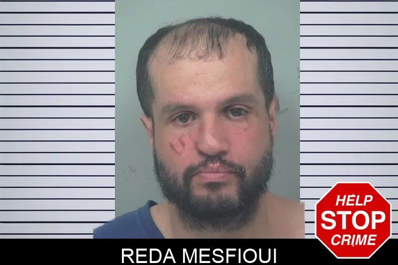 Reda Mesfioui mugshot – Gwinnett County , Georgia Reda Mesfioui mugshot