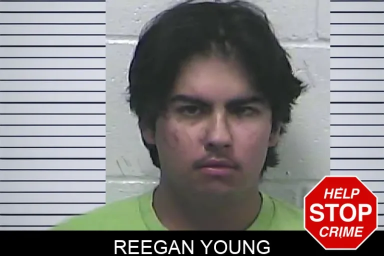 Reegan Young mugshot – Dawson County , Georgia Reegan Young