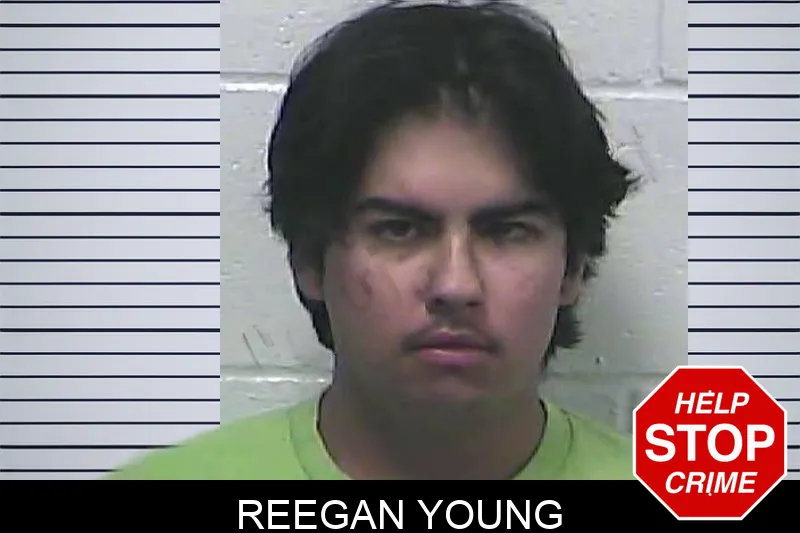 Reegan Young mugshot