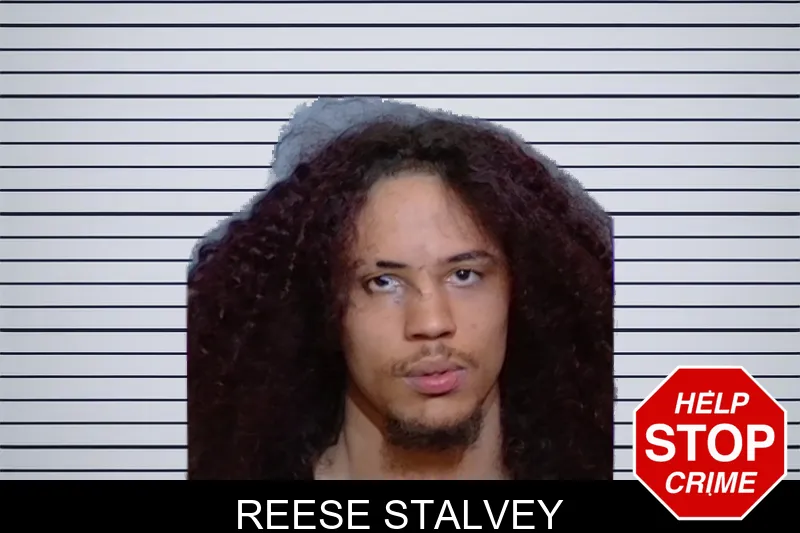 Reese Stalvey mugshot