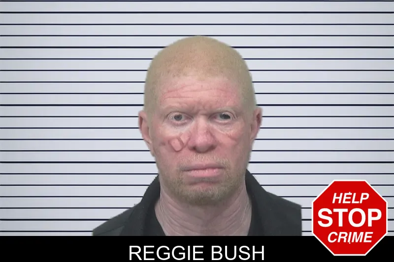Reggie Bush mugshot
