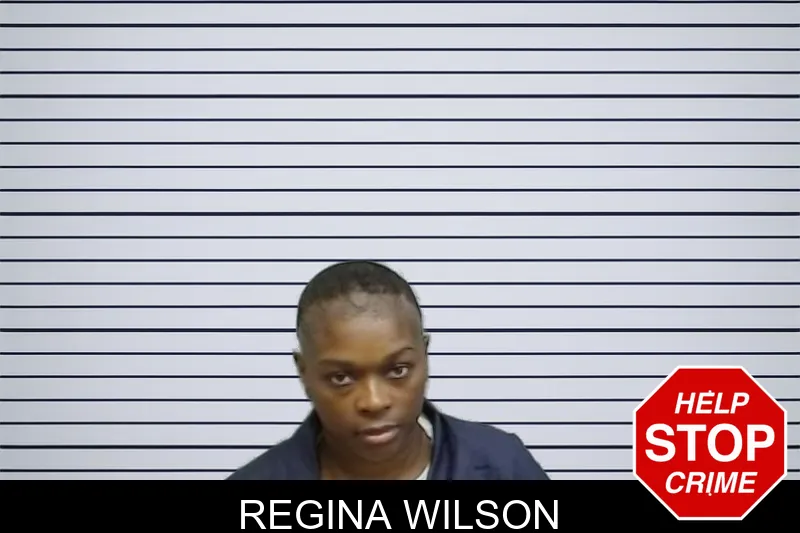 Regina Wilson mugshot