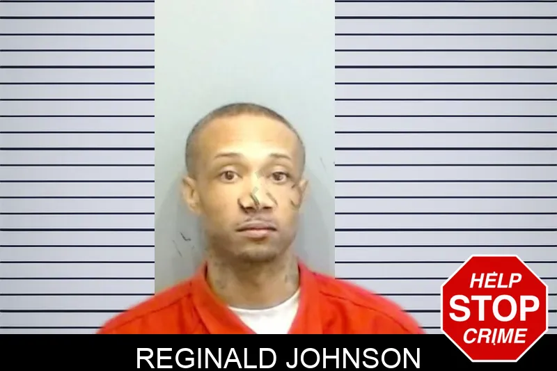 Reginald Johnson mugshot