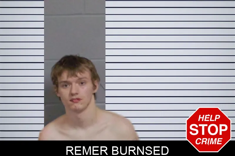 Remer Burnsed mugshot
