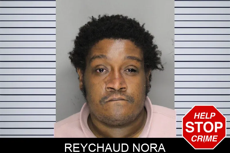 Reychaud Nora mugshot