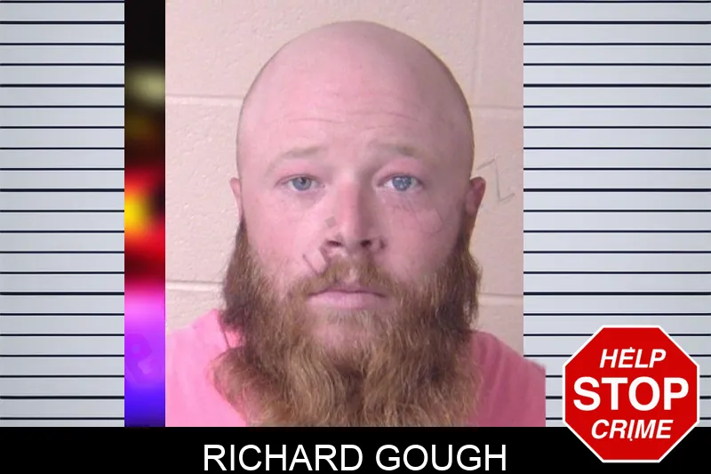 Richard Gough mugshot – Walker County , Georgia Richard Gough mugshot