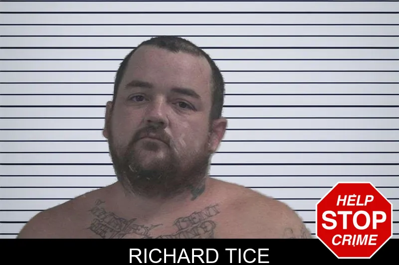 Richard Tice mugshot – McDuffie County , Georgia Richard Tice mugshot