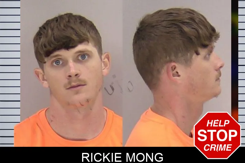 Rickie Mong mugshot