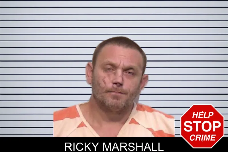 Ricky Marshall mugshot